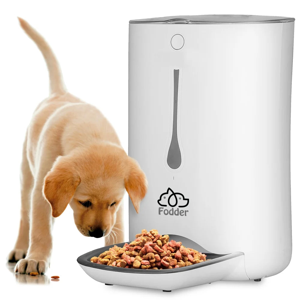 Smart Automatic Pet Feeder for Cats & Dogs – Digital Food Dispenser with Voice Recording & Programmable LCD Control | Pawrent’s Choice