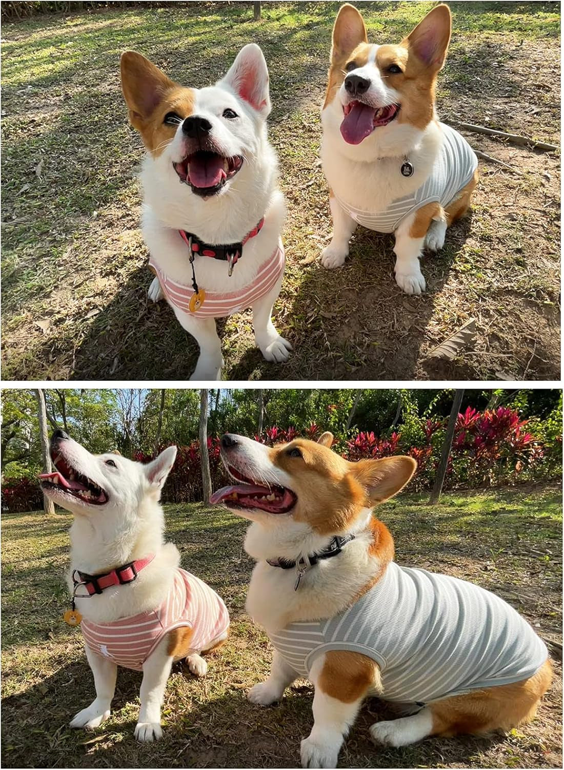 Dog Shirts 2-Pack – Lightweight Breathable T-Shirts & Sleeveless Vests for Small, Medium & Large Dogs or Cats, Pink + Green [5XL]