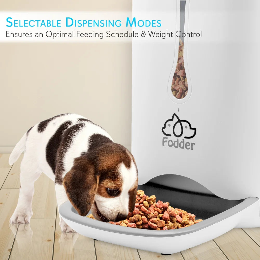 Smart Automatic Pet Feeder for Cats & Dogs – Digital Food Dispenser with Voice Recording & Programmable LCD Control | Pawrent’s Choice