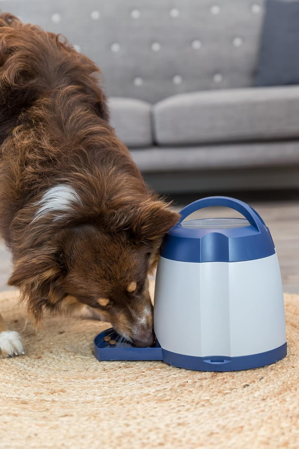 Memory Trainer 3.0 Dog Enrichment Toy, Advanced Level 3 Dog Puzzle, Interactive Treat Game