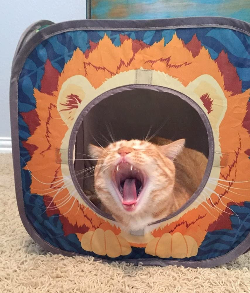Cat Toy Tunnel Set – Safari Jungle Collapsible Combo for Active Cats & Kittens