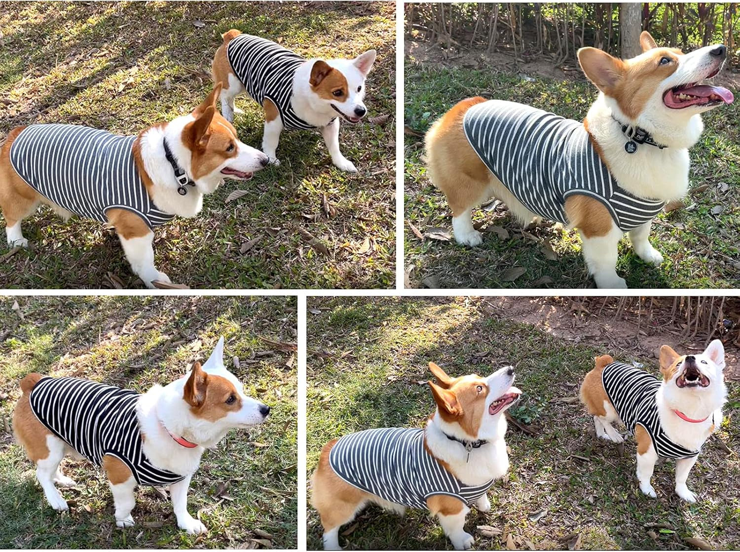Dog Shirts 2-Pack – Lightweight Breathable T-Shirts & Sleeveless Vests for Small, Medium & Large Dogs or Cats, Black + Grey [5XL]