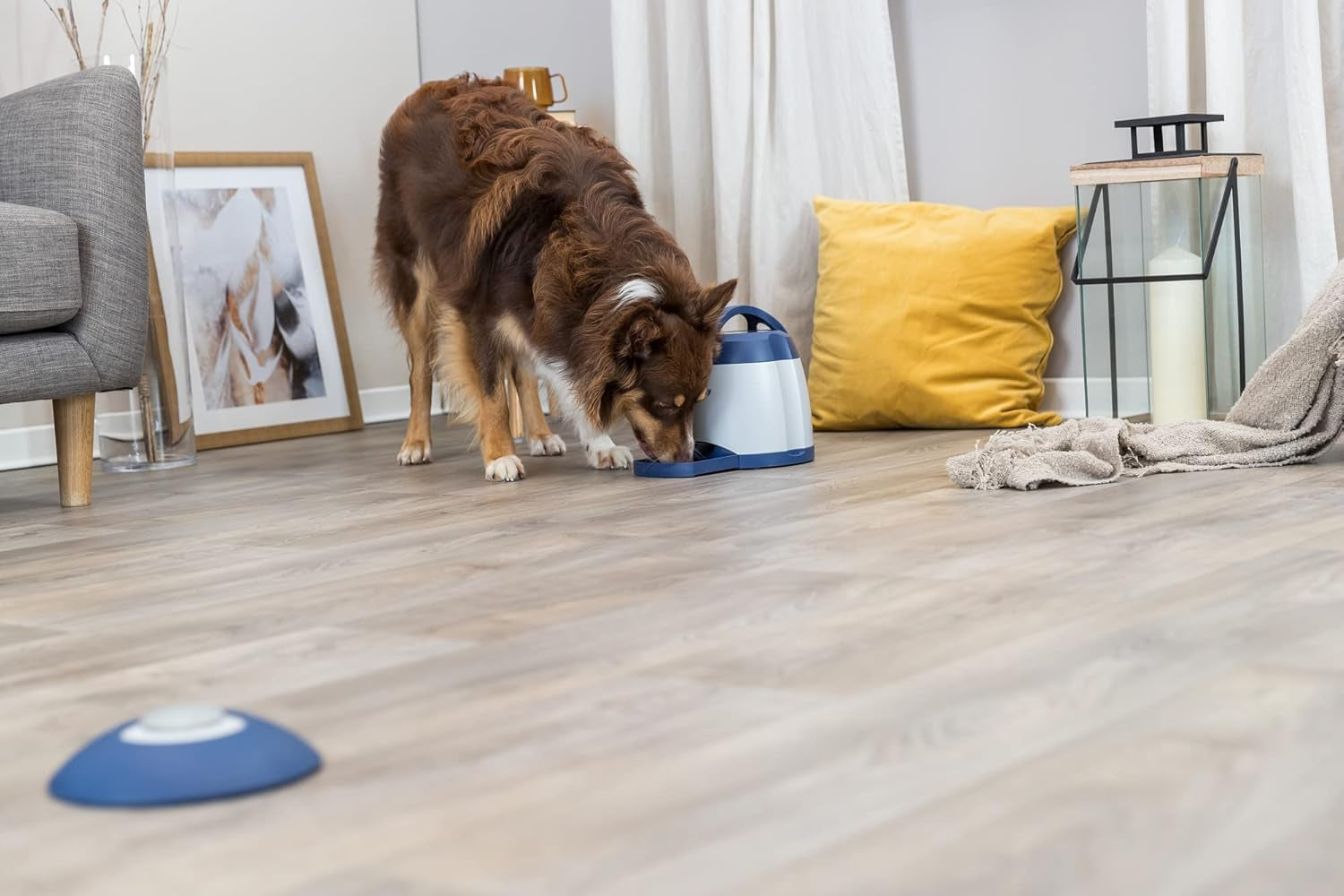 Memory Trainer 3.0 Dog Enrichment Toy, Advanced Level 3 Dog Puzzle, Interactive Treat Game